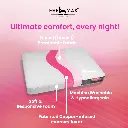 STANDER pillow 001.webp