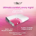 contour pillow 001.webp